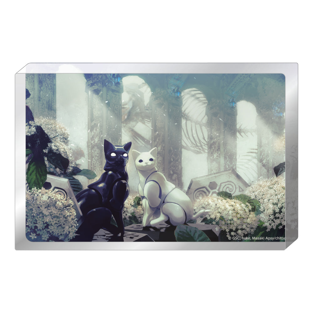 chitocerium アクリルブロック E