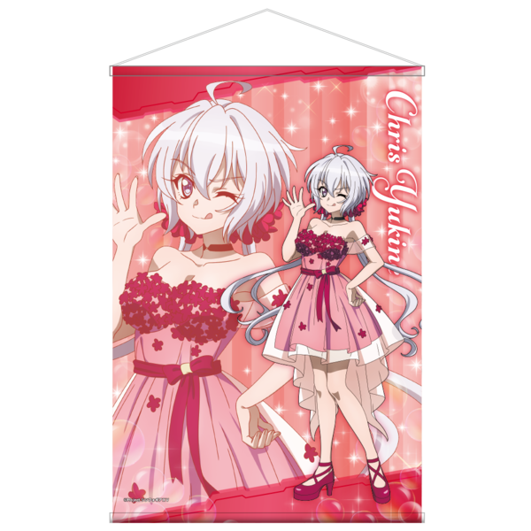 C賞 B2タペストリー(クリス)