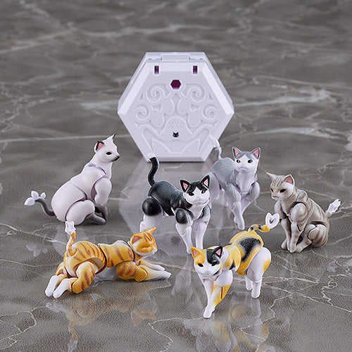 chitocerium nightmare XXII-tanio schrodinger box