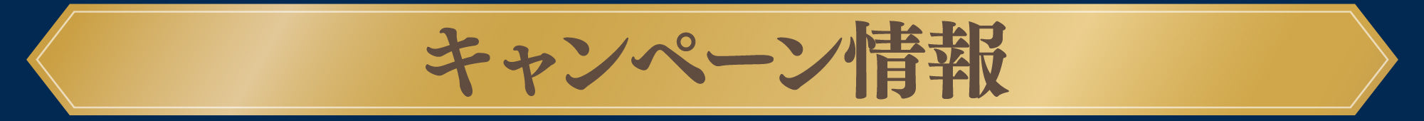 キャンペーン情報