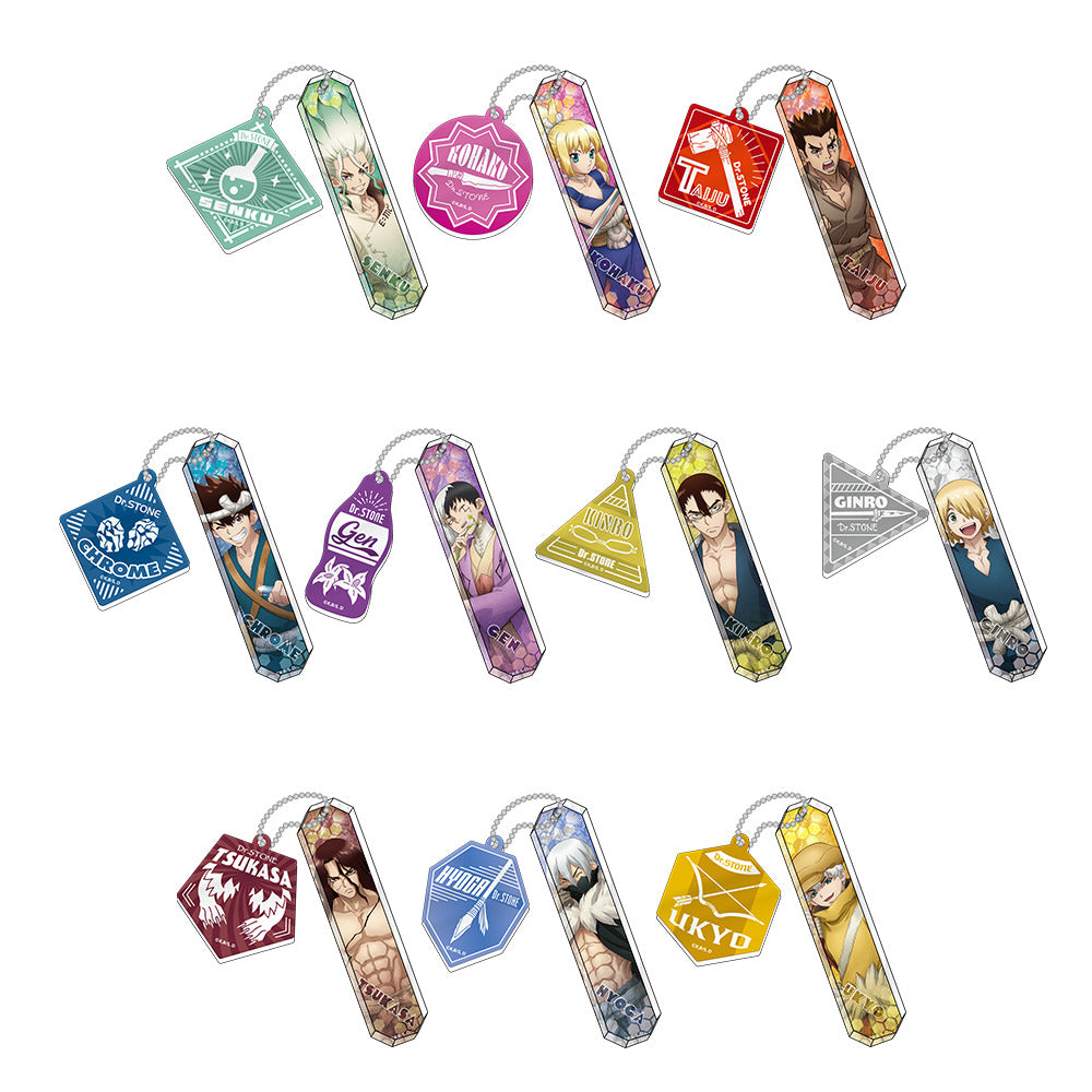 Dr．STONE トレーディングツインアクリルキーホルダー（単品）